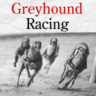 extrait jeux-video Greyhound Racing
