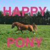 extrait jeux-video Happy Pony by Horse Reader
