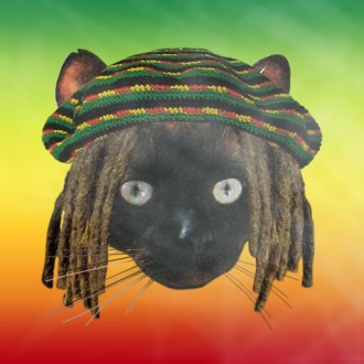 extrait jeux-video Happycat!