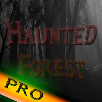 extrait jeux-video Haunted Forest Pro