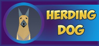extrait jeux-video Herding Dog
