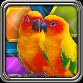 extrait jeux-video HexLogic - Birds