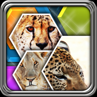 extrait jeux-video HexLogic - Collage