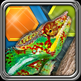 extrait jeux-video HexLogic - Reptiles