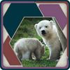 extrait jeux-video HexSaw - Animal Babies