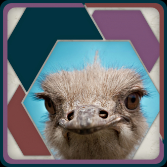extrait jeux-video HexSaw - Faces