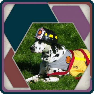 extrait jeux-video HexSaw - Firefighters