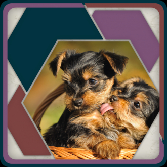 extrait jeux-video HexSaw - Puppies