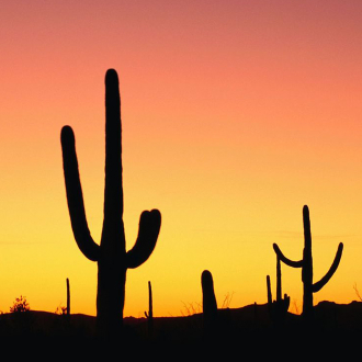 extrait jeux-video Hidden Image Landscape