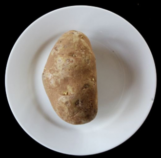 extrait jeux-video Hot Potato 2010