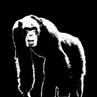 extrait jeux-video Human Devolution