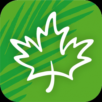 extrait jeux-video i Ski Race Canada