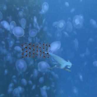 extrait jeux-video Iamshark