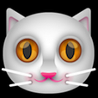extrait jeux-video iCatch Cats