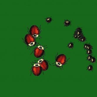 extrait jeux-video Insectes