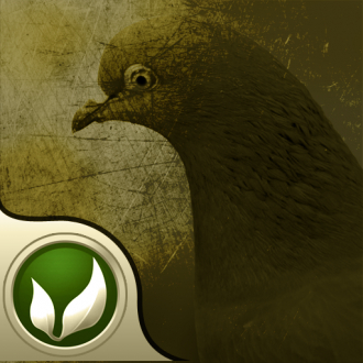 extrait jeux-video iPigeon