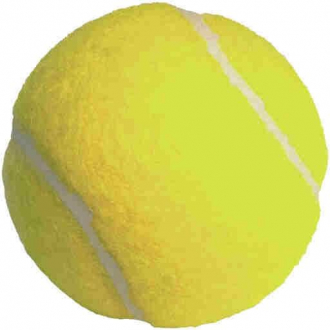 extrait jeux-video iTennis Game