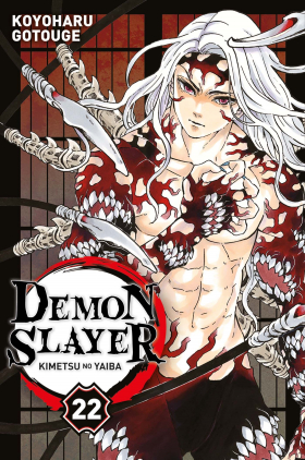 couverture manga Demon slayer T22