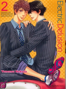 couverture manga Electric delusion T2