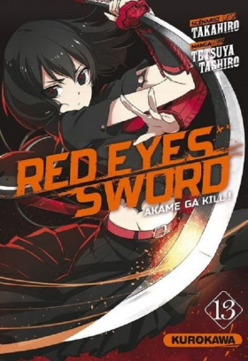 couverture manga Red eyes sword - akame ga kill ! T13