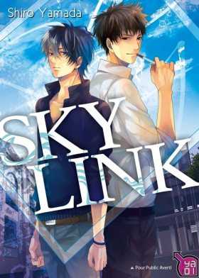 couverture manga Sky link