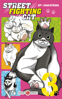 couverture manga Street fighting cat T3