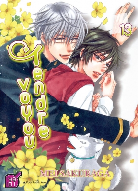 couverture manga Tendre voyou T13