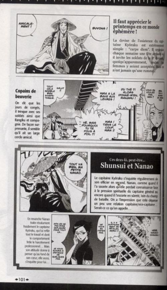 extrait manga Bleach Official bootleg