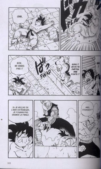 extrait manga Dragon Ball – Ultimate edition, T13