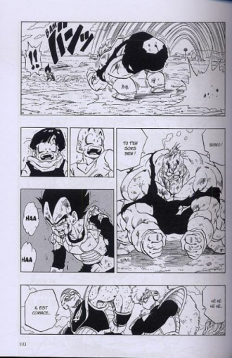 extrait manga Dragon Ball – Ultimate edition, T19
