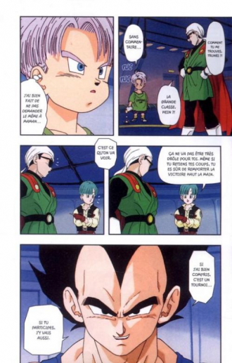 extrait manga Dragon Ball Z – cycle 6 : Le tournoi de l’Au-delà, T2