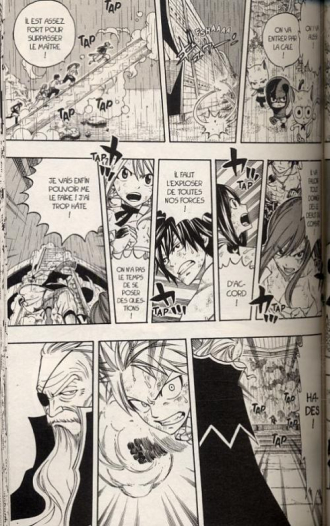 Fairy Tail T29 