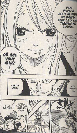 Fairy Tail T8 