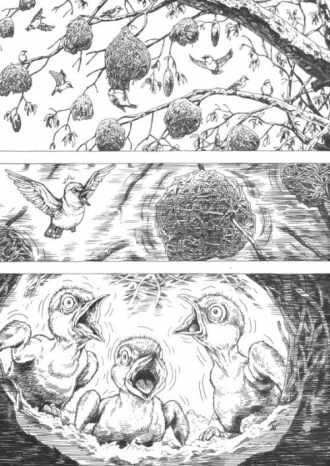 extrait manga Gon T6
