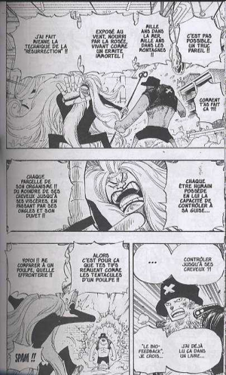 extrait manga Les pirates face au CP9