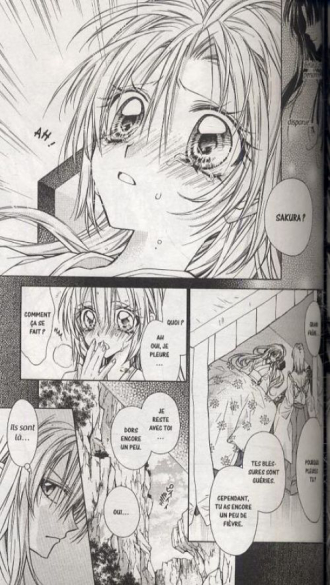 extrait manga Princesse Sakura T4