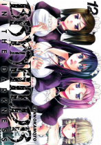 couverture manga Brynhildr in the Darkness T12