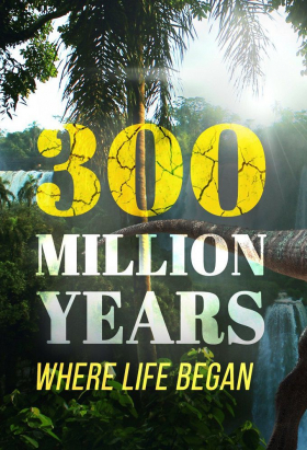 couverture film 300 Million Years