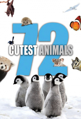 couverture film 72 Cutest Animals