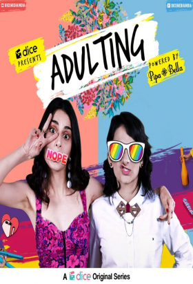 couverture film Adulting