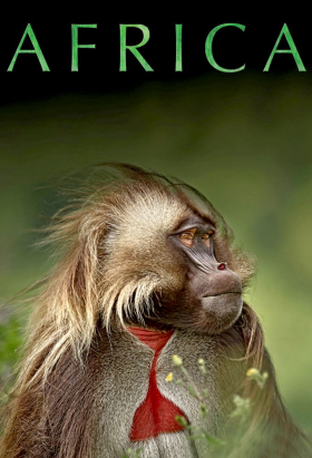 couverture film Afrique sauvage