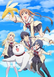 couverture film AHO-GIRL
