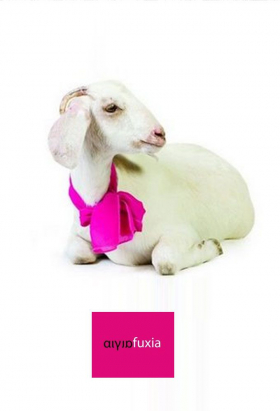 couverture film Aigia Fuxia