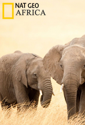 couverture film An Island Parish