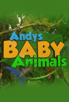 couverture film Andy's Baby Animals