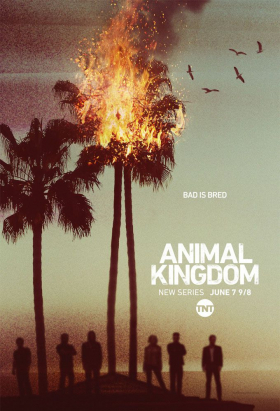 couverture film Animal Kingdom