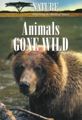 couverture film Animals Gone Wild
