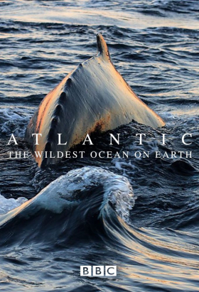 couverture film Atlantic: The Wildest Ocean on Earth