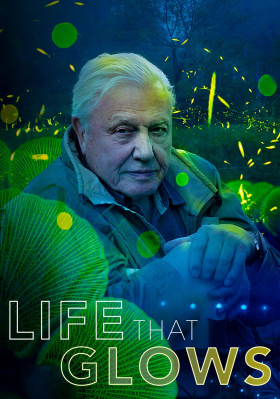 couverture film Attenborough's Life That Glows