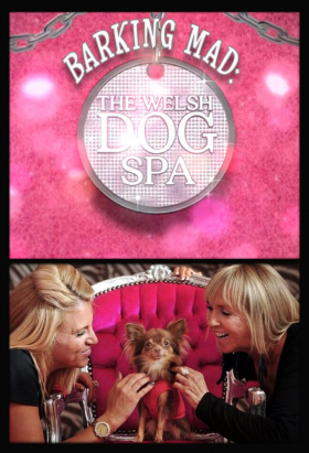 couverture film Barking Mad: The Welsh Dog Spa